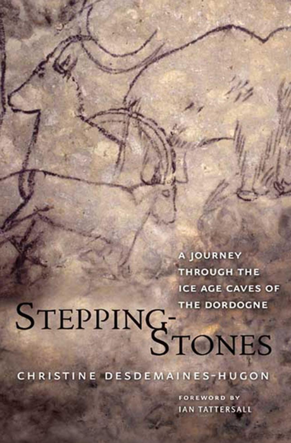 Big bigCover of Stepping-Stones