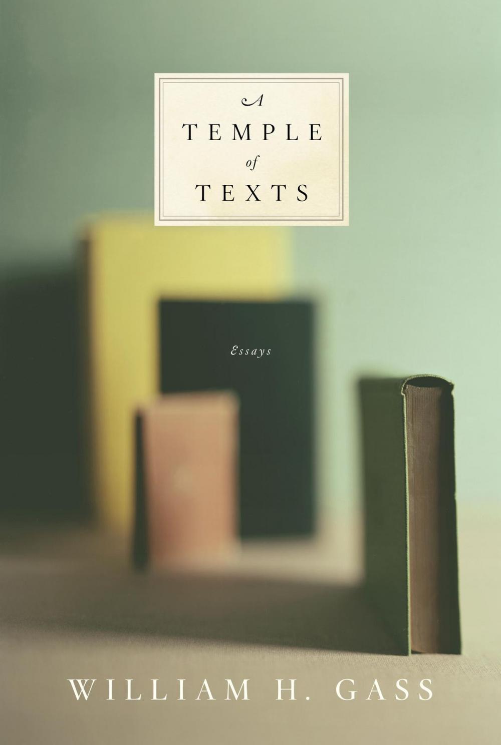 Big bigCover of A Temple of Texts