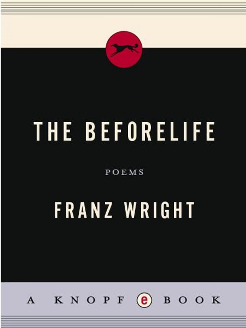 Big bigCover of The Beforelife
