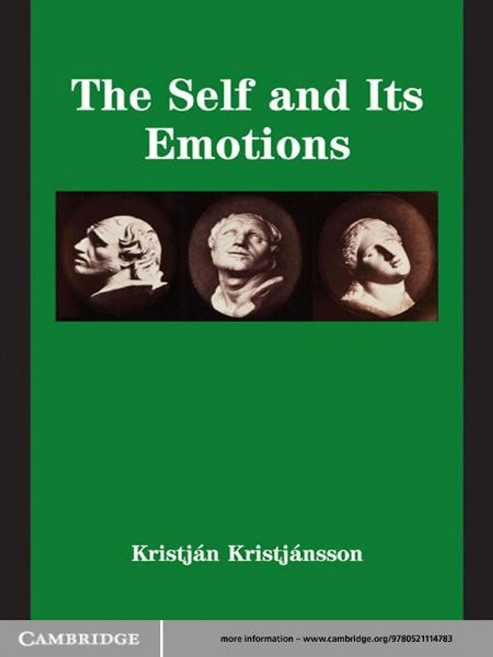 Big bigCover of The Self and its Emotions