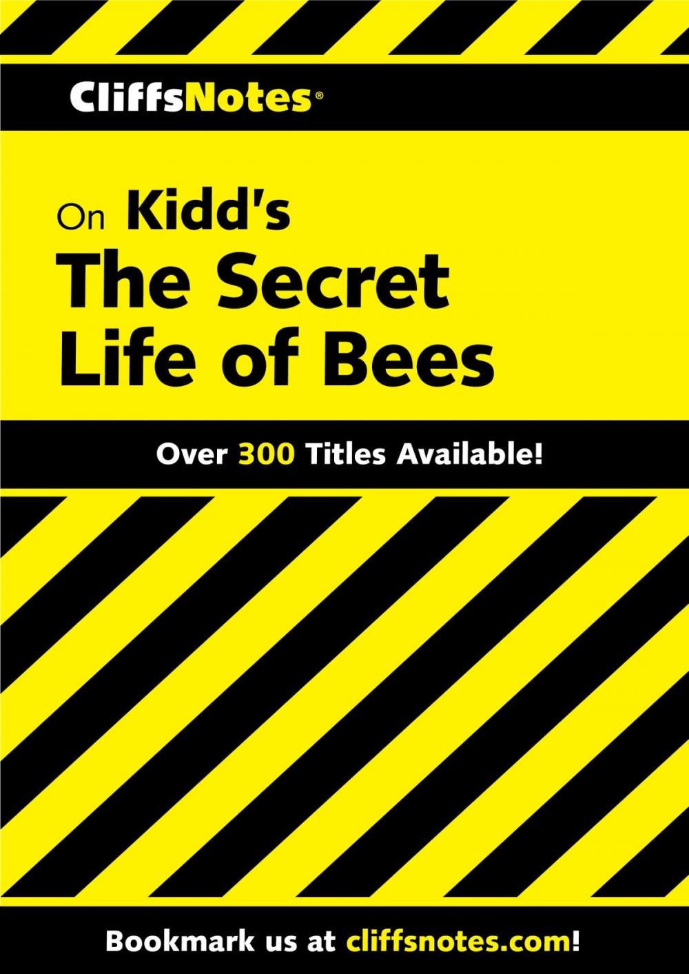 Big bigCover of CliffsNotes on Kidd's The Secret Life of Bees