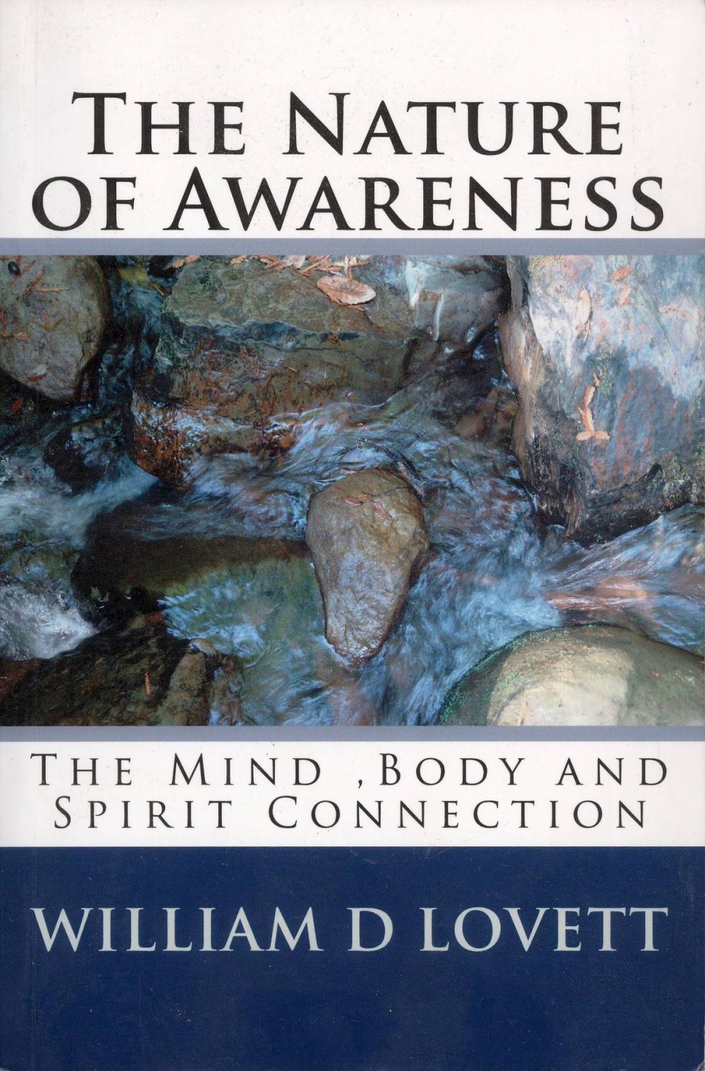 Big bigCover of The Nature of Awareness