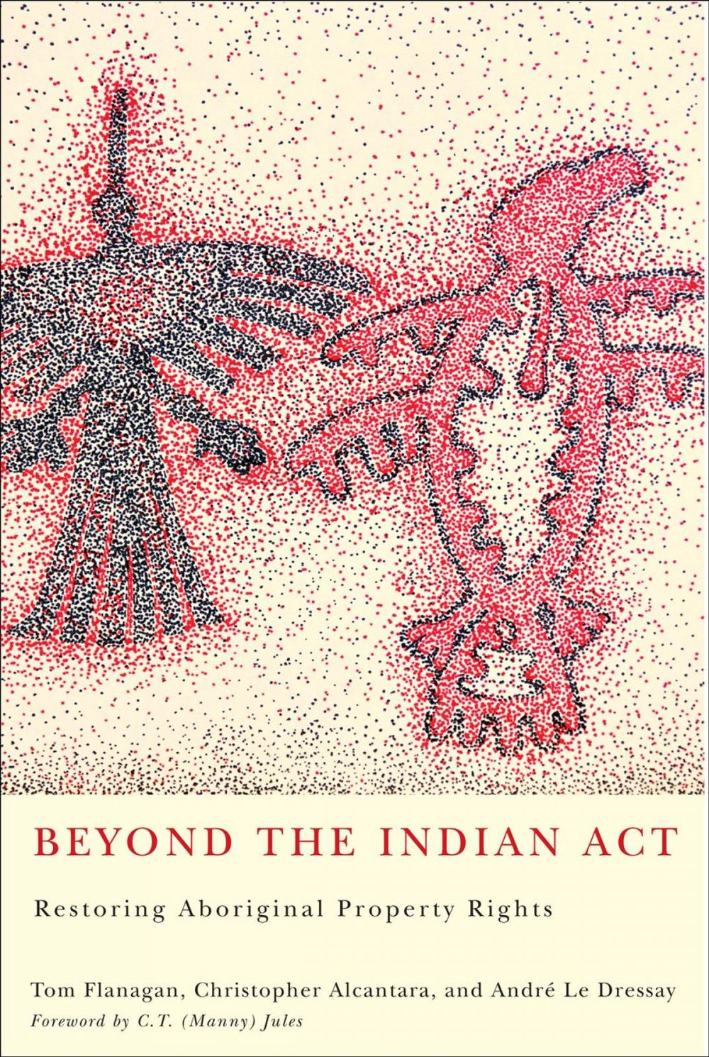 Big bigCover of Beyond the Indian Act