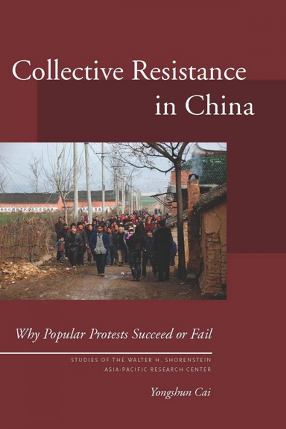 Big bigCover of Collective Resistance in China