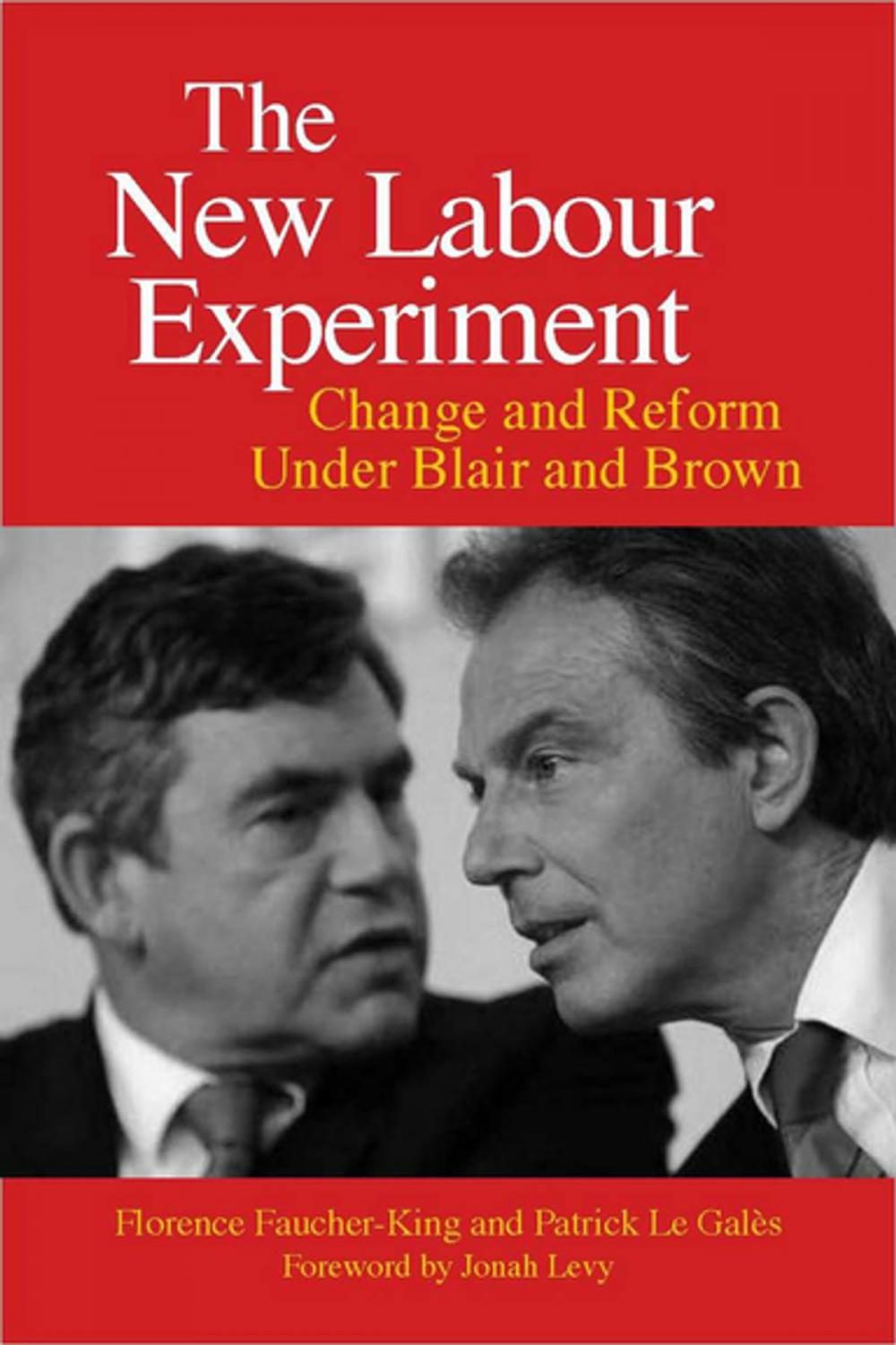 Big bigCover of The New Labour Experiment