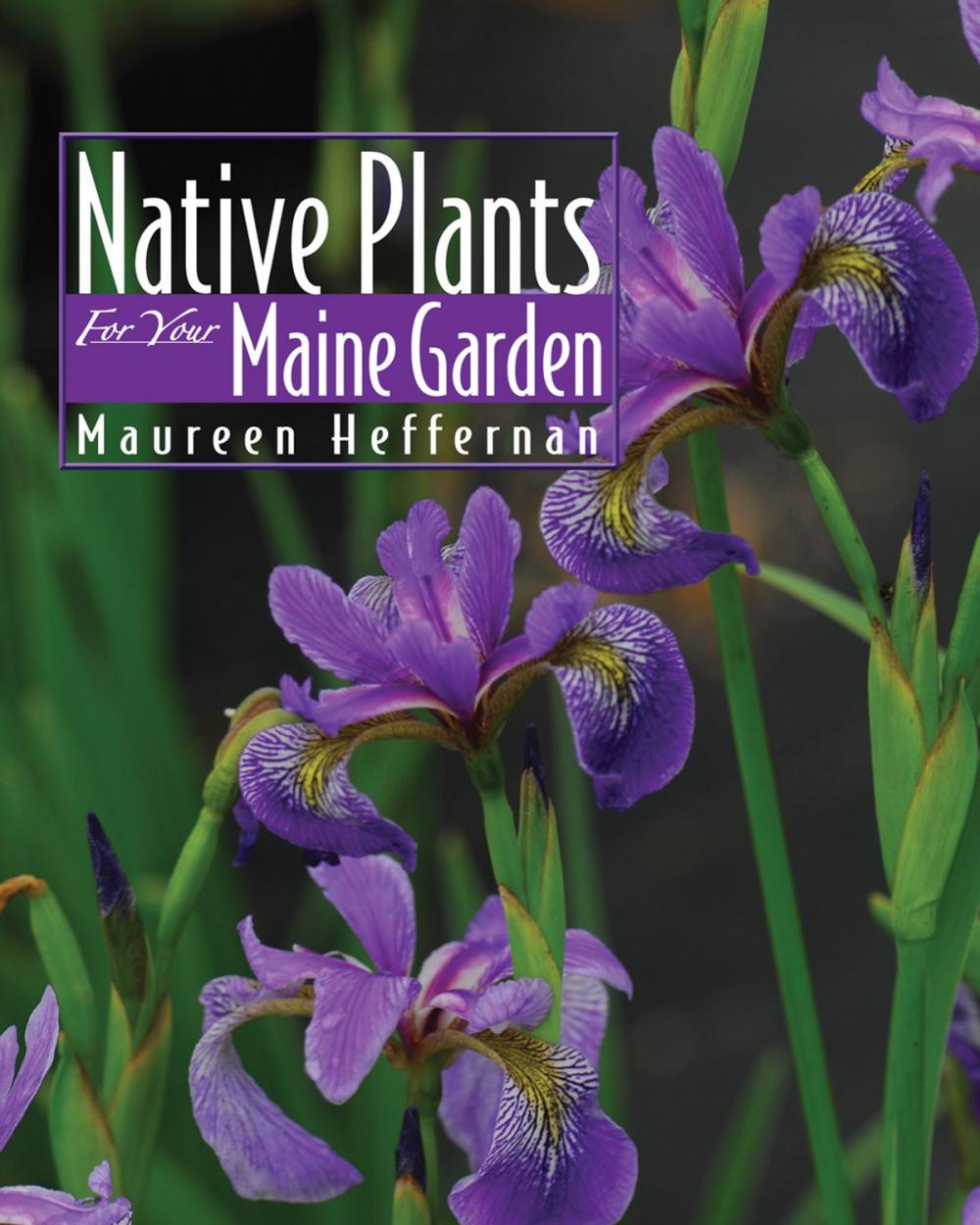 Big bigCover of Native Plants for Your Maine Garden