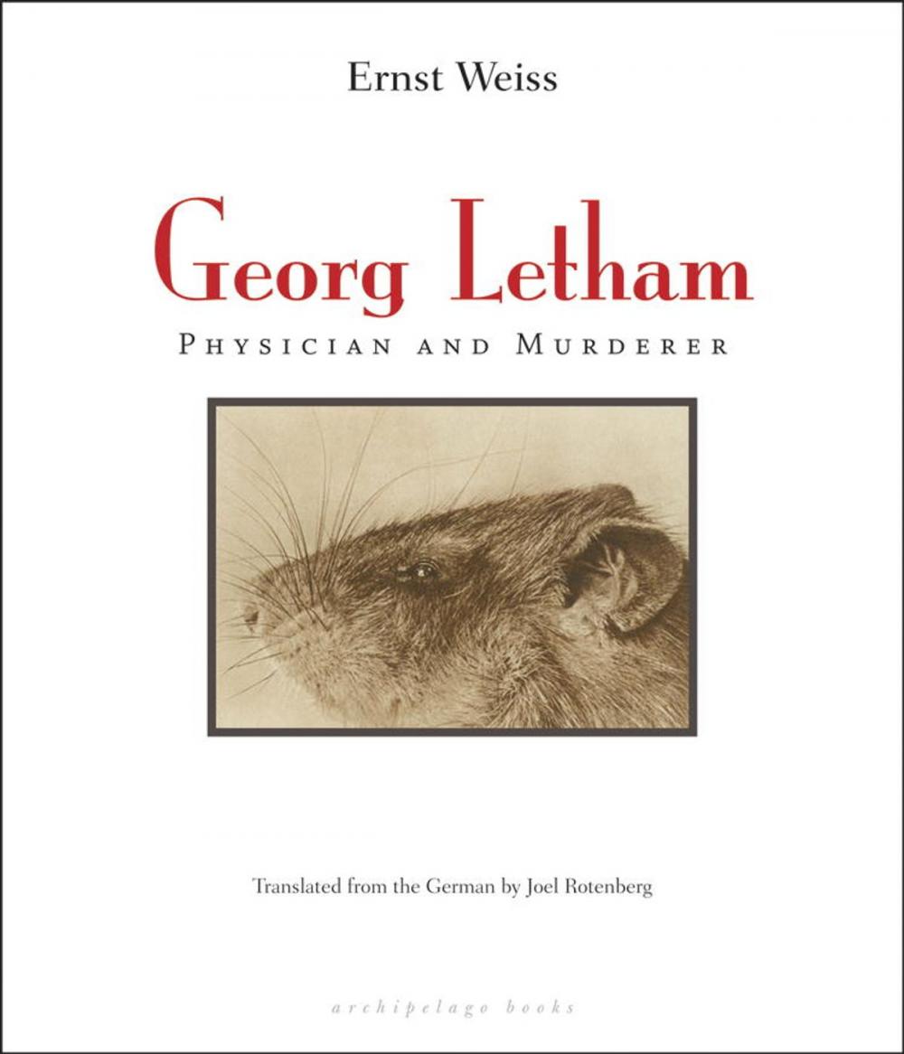 Big bigCover of Georg Letham