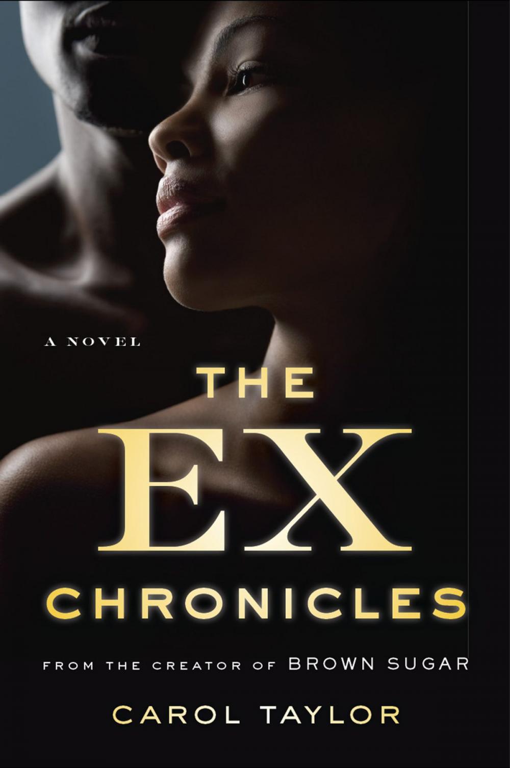 Big bigCover of The Ex Chronicles