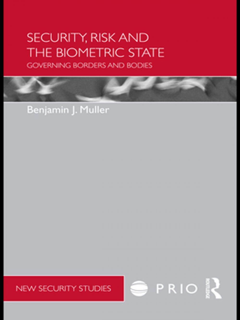 Big bigCover of Security, Risk and the Biometric State