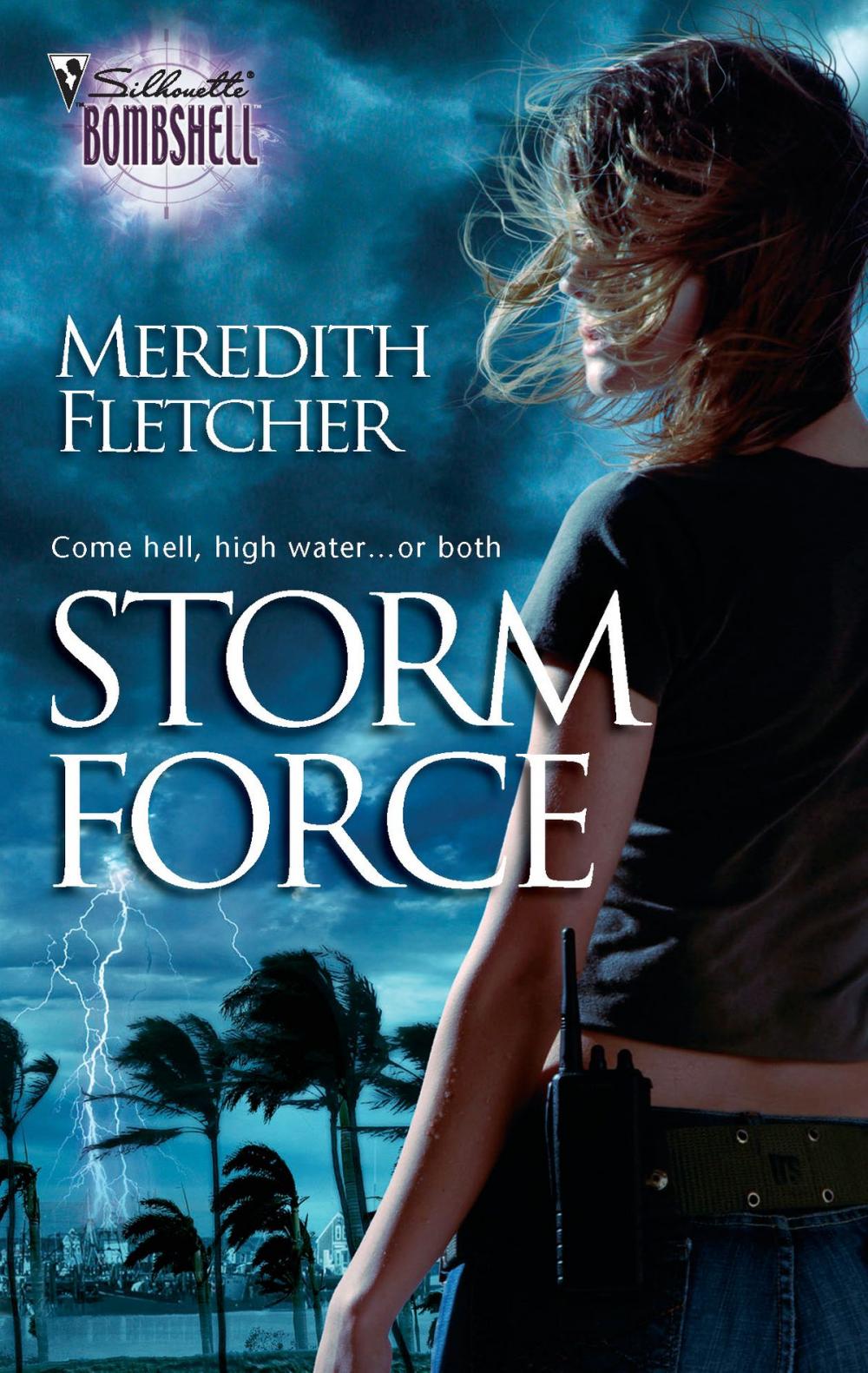 Big bigCover of Storm Force