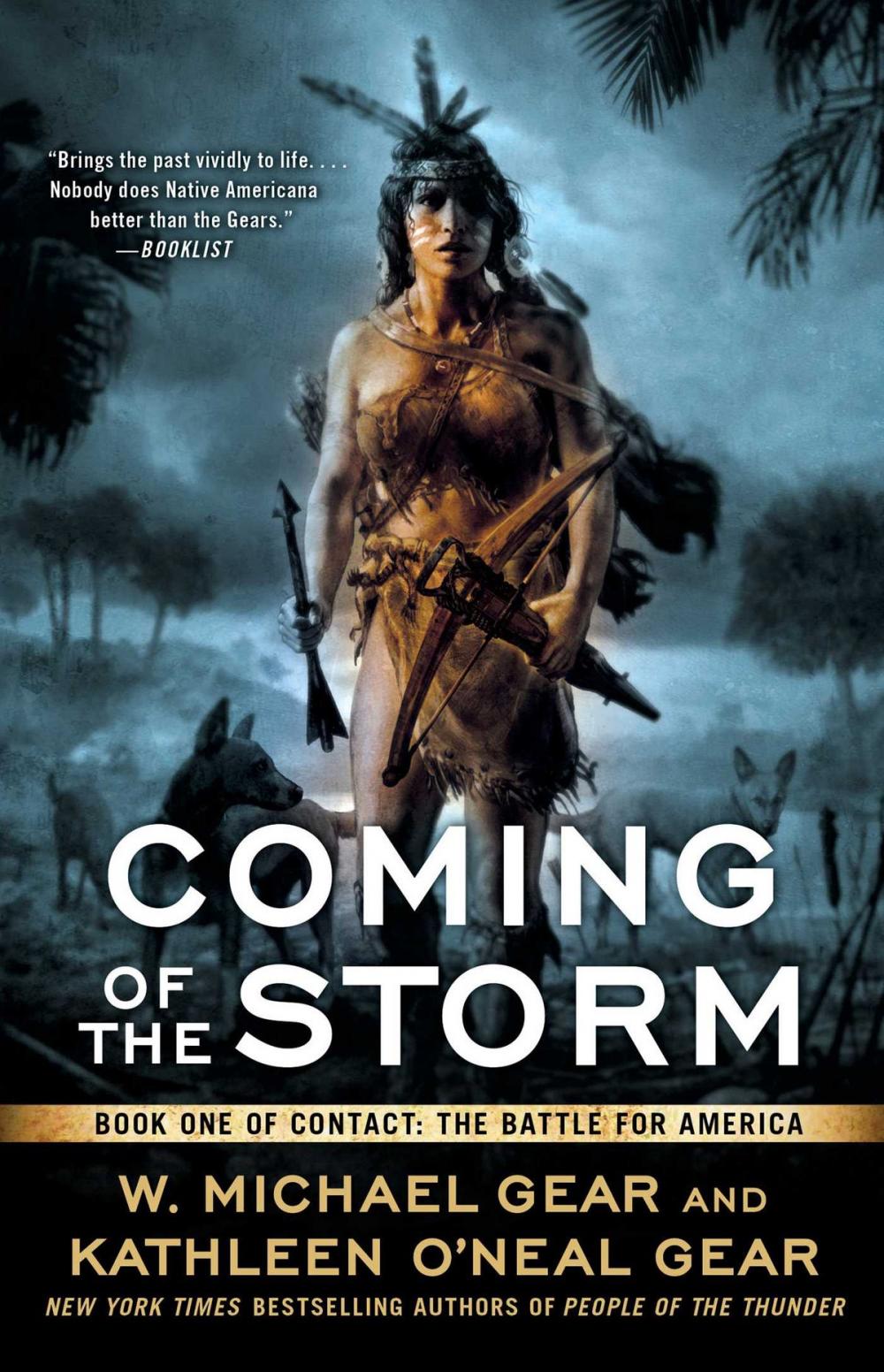 Big bigCover of Coming of the Storm