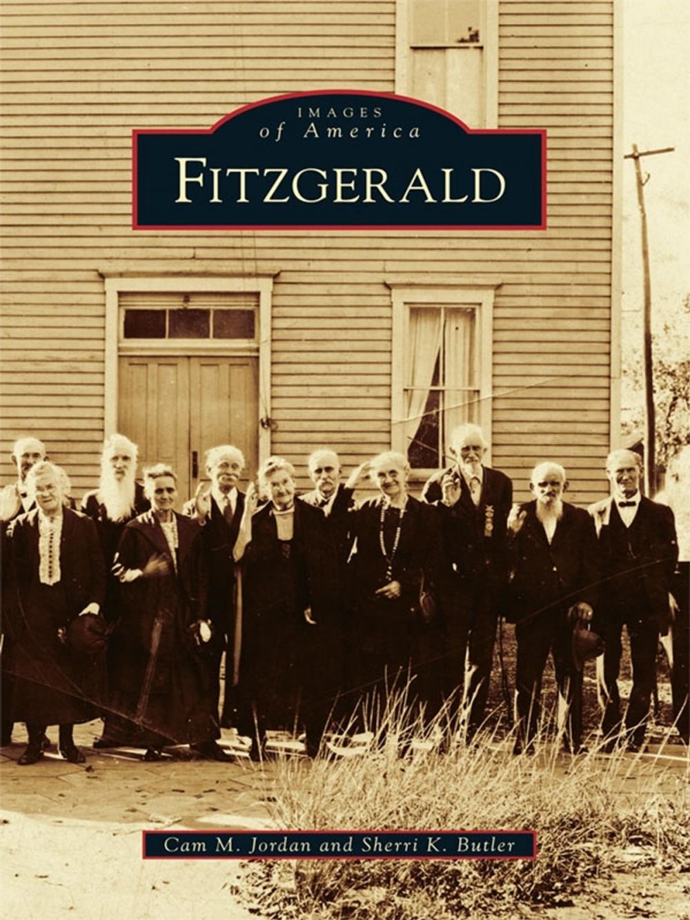 Big bigCover of Fitzgerald