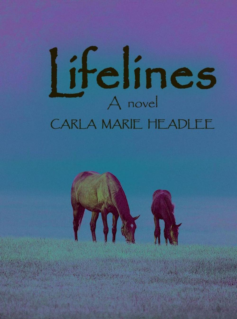 Big bigCover of Lifelines