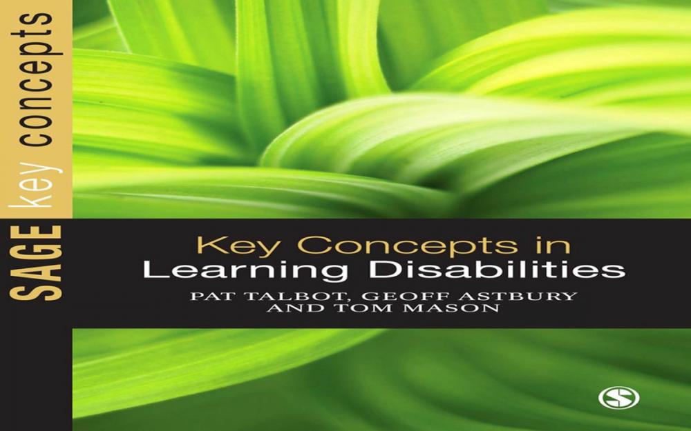 Big bigCover of Key Concepts in Learning Disabilities