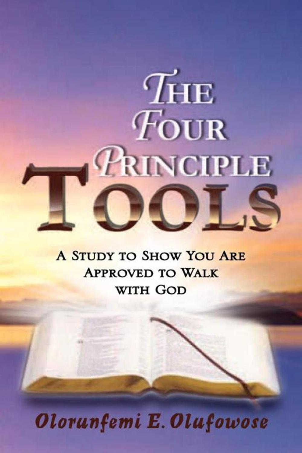 Big bigCover of The Four Principle Tools