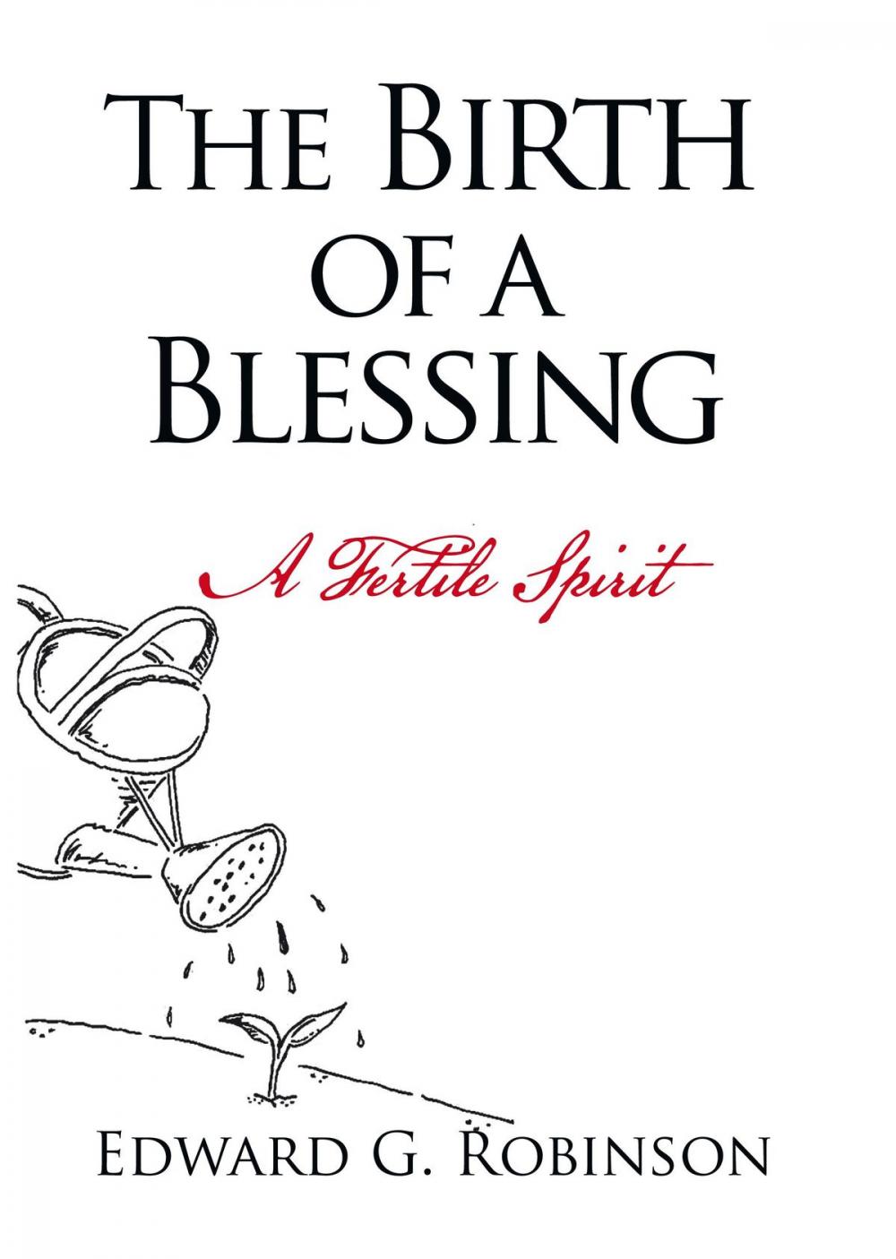 Big bigCover of The Birth of a Blessing