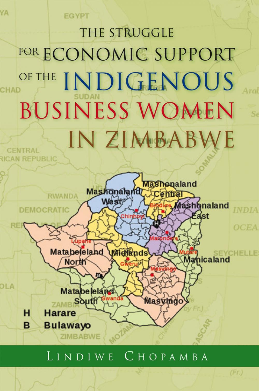 Big bigCover of The Struggle for Economic Support of the Indigenous Business Women in Zimbabwe