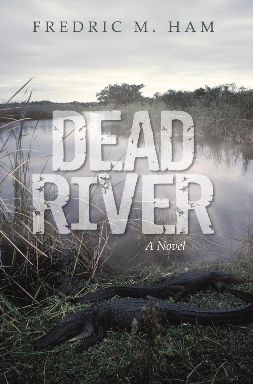 Big bigCover of Dead River