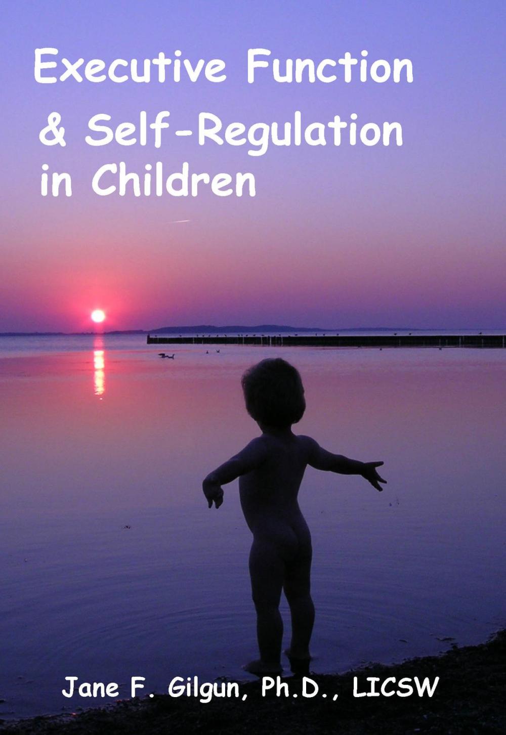 Big bigCover of Executive Function and Self-Regulation in Children