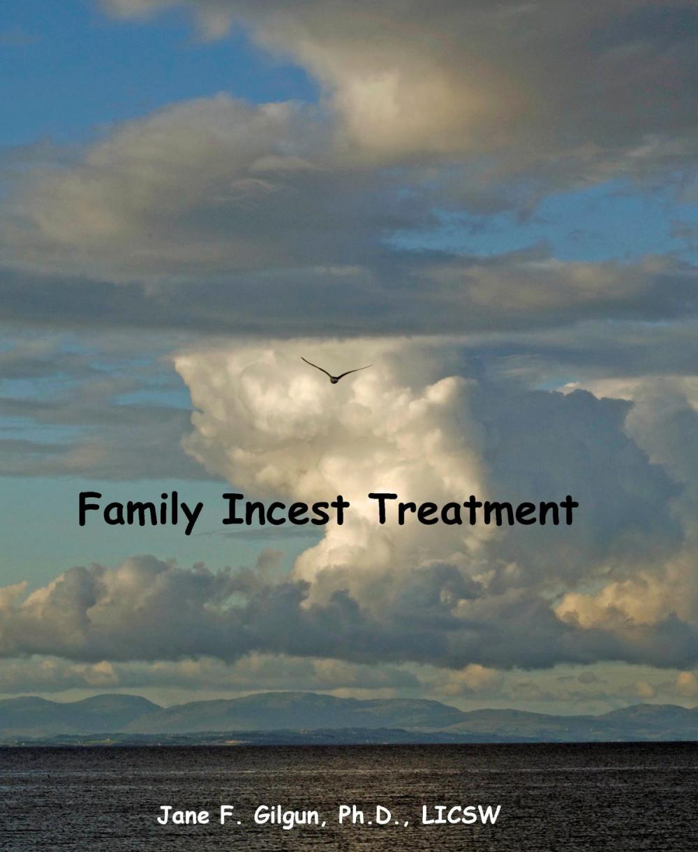 Big bigCover of Family Incest Treatment