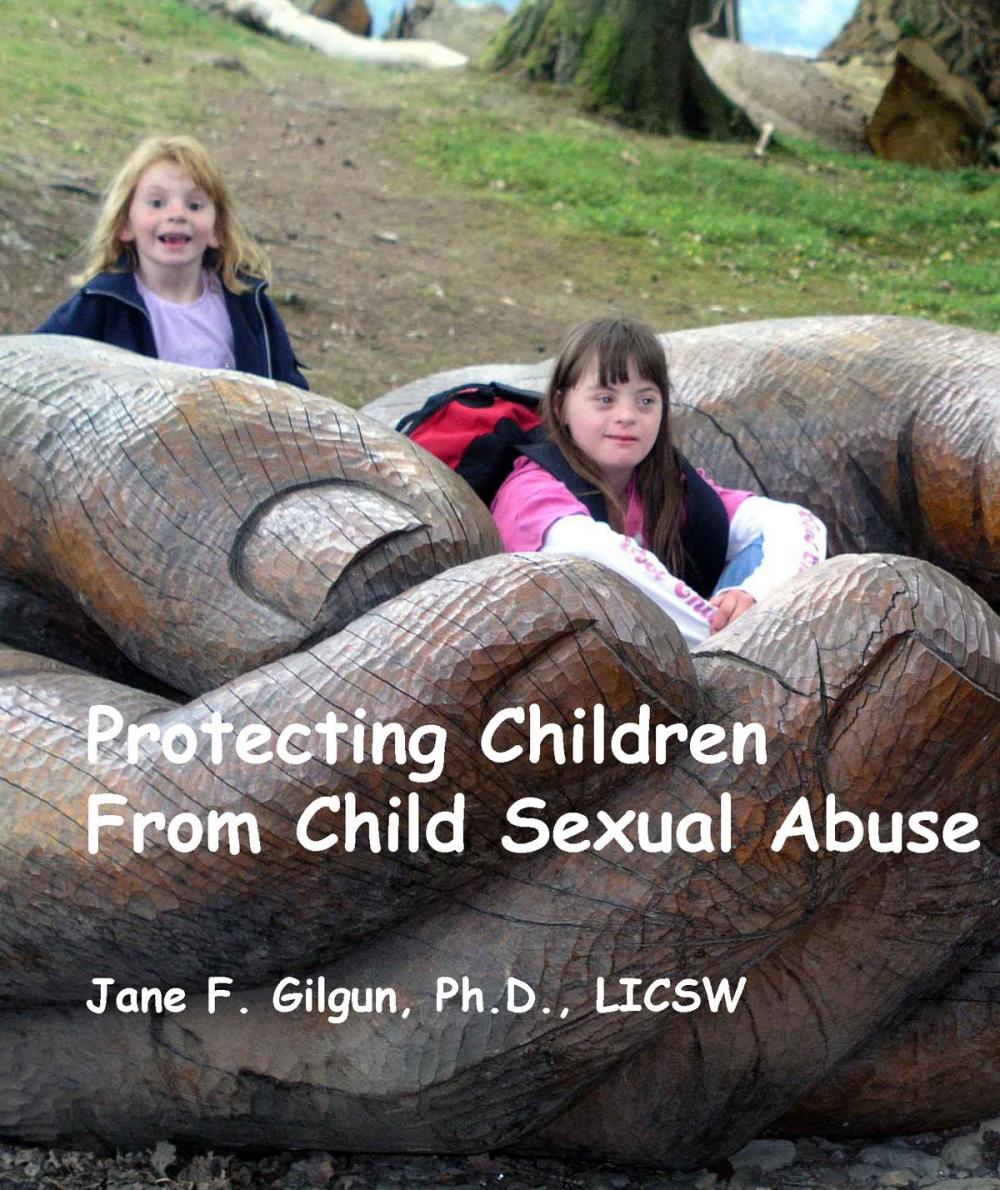 Big bigCover of Protecting Children from Child Sexual Abuse