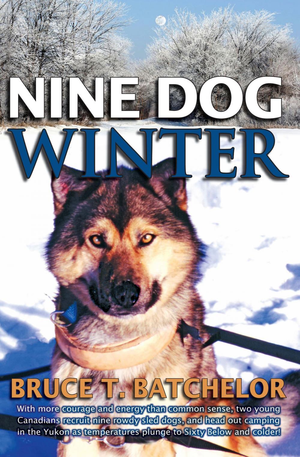 Big bigCover of Nine Dog Winter