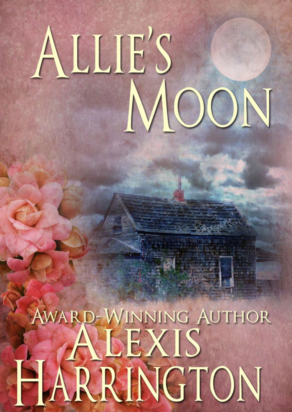 Big bigCover of Allie's Moon