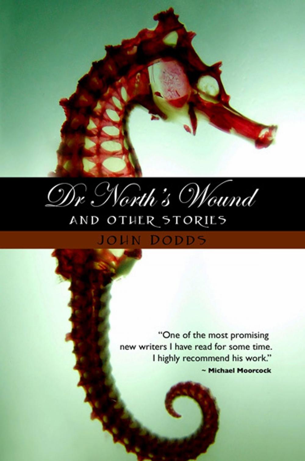 Big bigCover of Dr. North's Wound and Other Stories