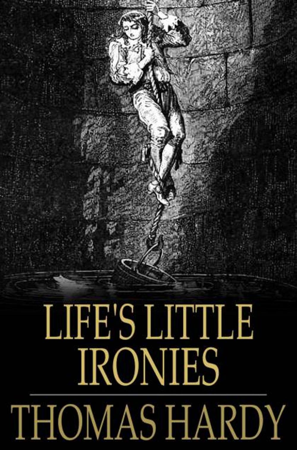 Big bigCover of Life's Little Ironies