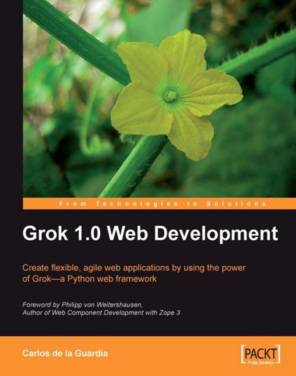 Big bigCover of Grok 1.0 Web Development