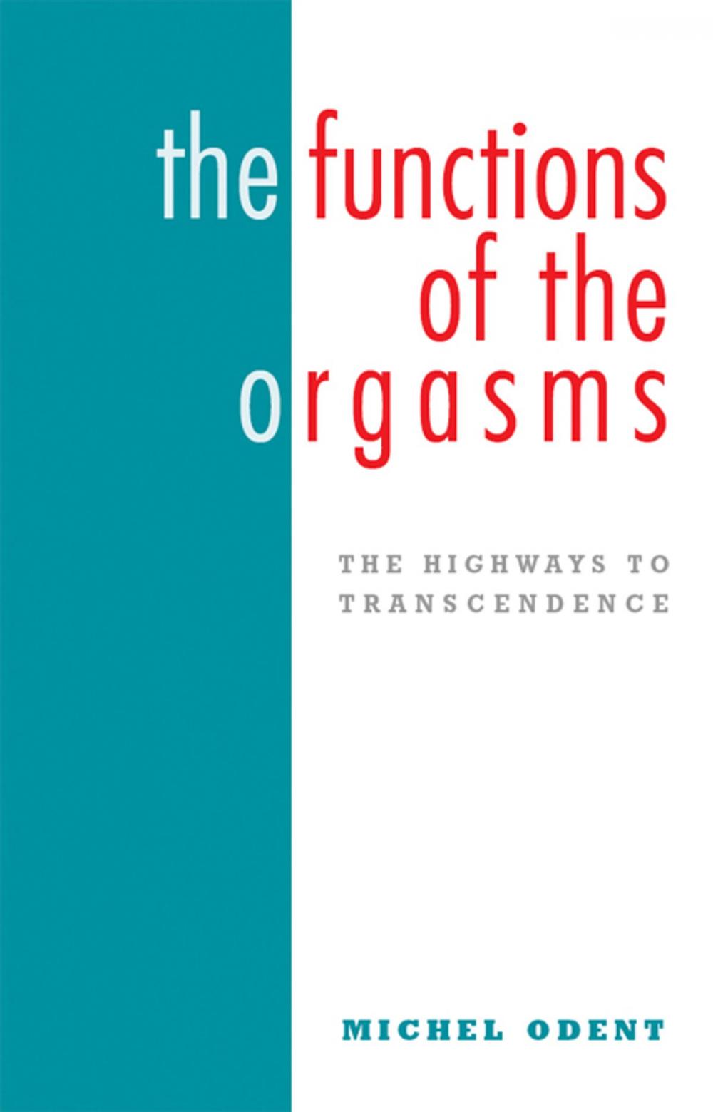 Big bigCover of The Functions of the Orgasms