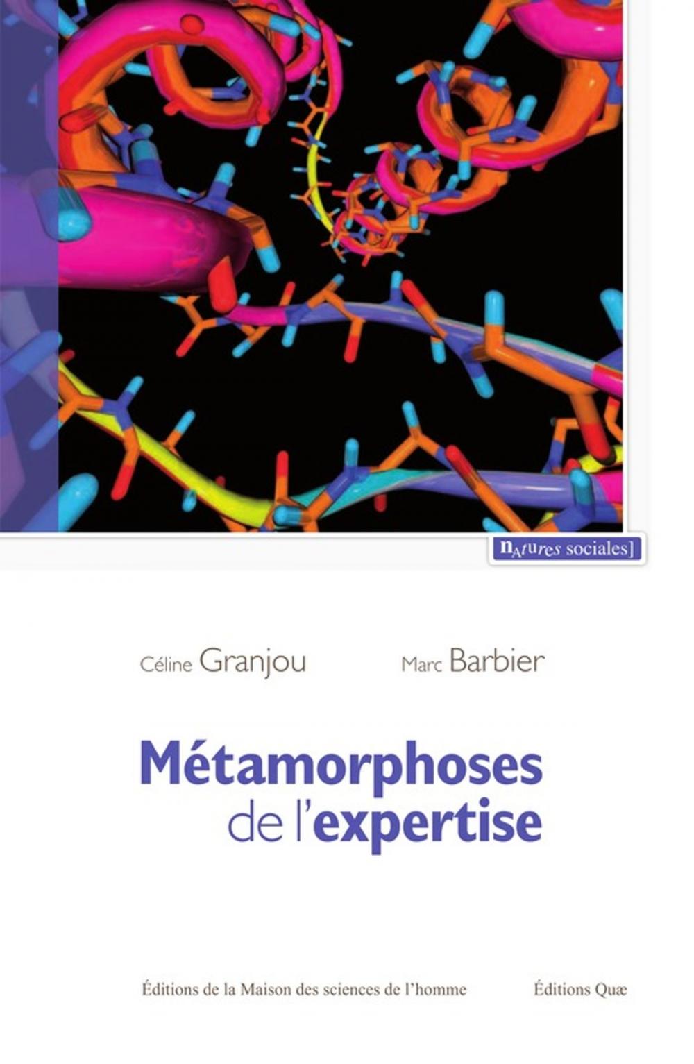 Big bigCover of Métamorphoses de l'expertise