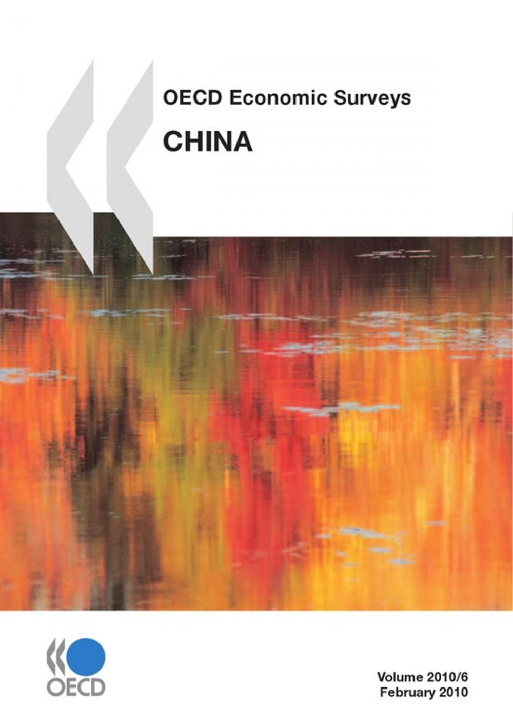 Big bigCover of OECD Economic Surveys: China 2010