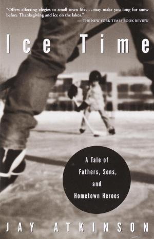 Book cover of Ice Time