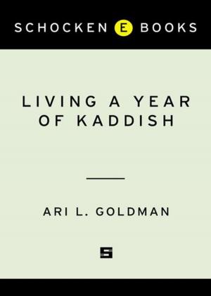 Cover of the book Living a Year of Kaddish by Martin Amis