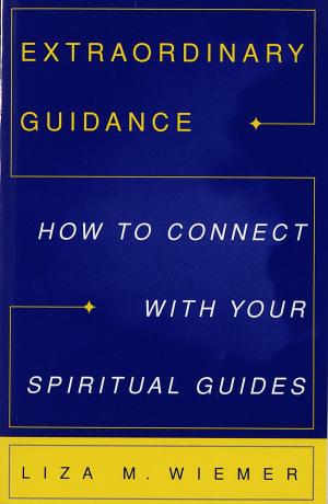 Book cover of Extraordinary Guidance