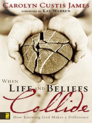 Cover of the book When Life and Beliefs Collide by Pete Gall