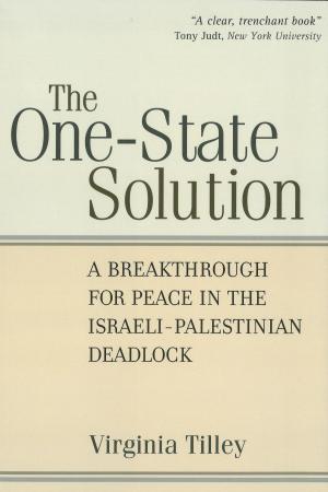 Cover of the book The One-State Solution by David Imhoof