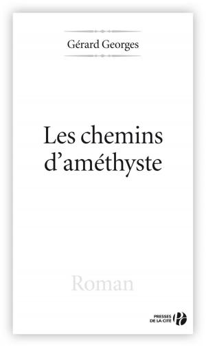 Cover of the book Les Chemins d'améthyste by Jean-François KAHN