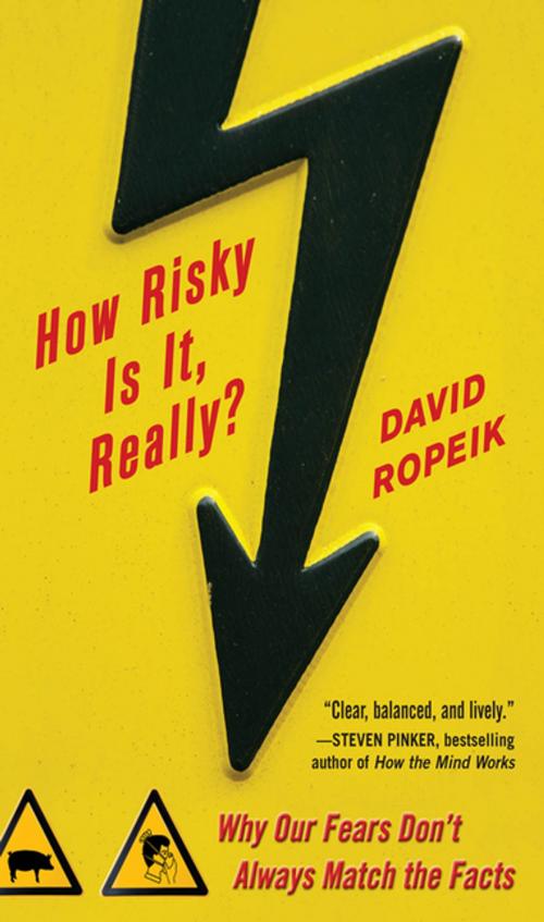 Cover of the book How Risky Is It, Really?: Why Our Fears Don't Always Match the Facts by David Ropeik, McGraw-Hill Education