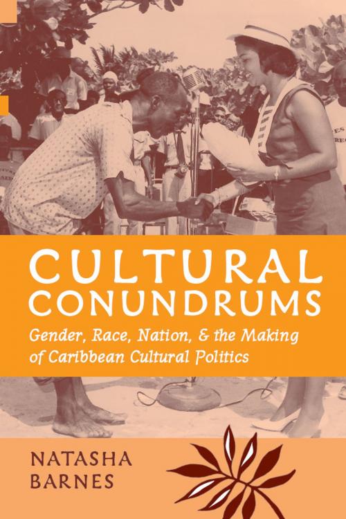 Cover of the book Cultural Conundrums by Natasha Barnes, University of Michigan Press