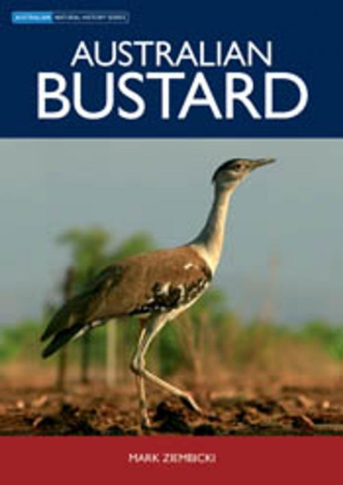 Cover of the book Australian Bustard by Mark Ziembicki, CSIRO PUBLISHING
