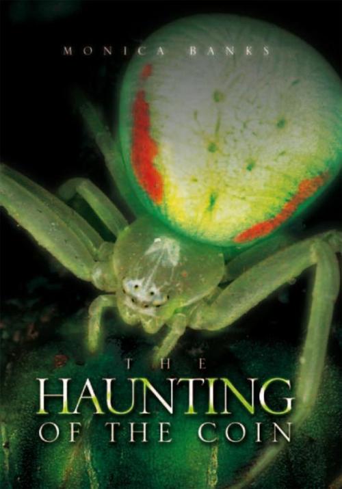 Cover of the book The Haunting of the Coin by Monica Banks, Xlibris US