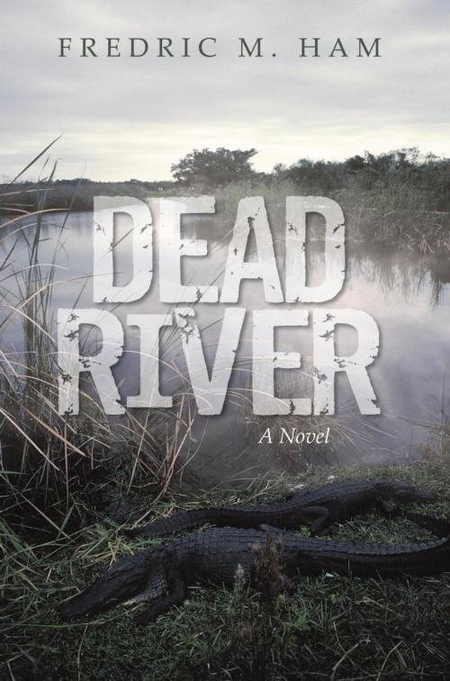 Cover of the book Dead River by Fredric M. Ham, iUniverse