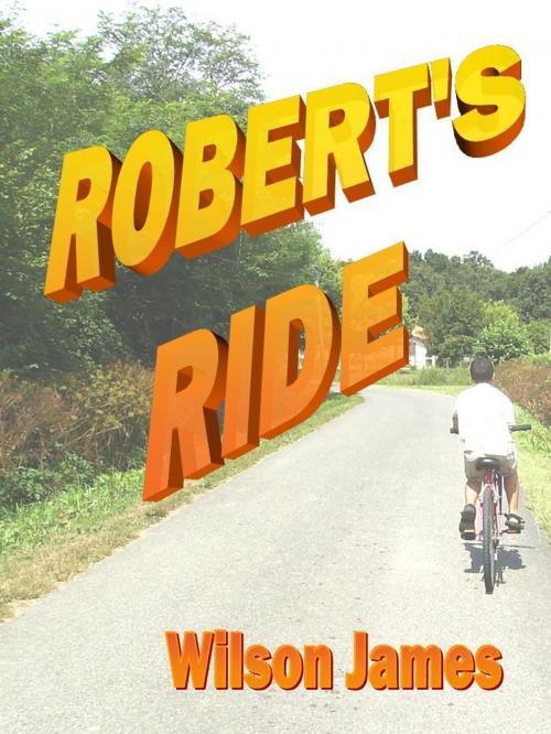 Cover of the book Robert's Ride by Wilson James, Wilson James