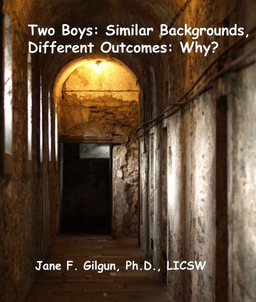 Cover of the book Two Boys, Similar Backgrounds: One Goes To Prison and One Does Not: Why? by Jane Gilgun, Jane Gilgun