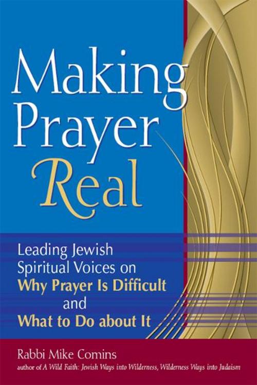 Cover of the book Making Prayer Real: Leading Jewish Spiritual Voices on Why Prayer Is Difficult and What to Do about It by Rabbi Mike Comins, Jewish Lights Publishing