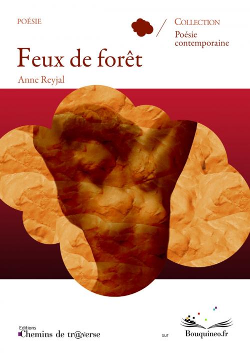 Cover of the book Feux de forêt by Anne Reyjal, Chemins de tr@verse