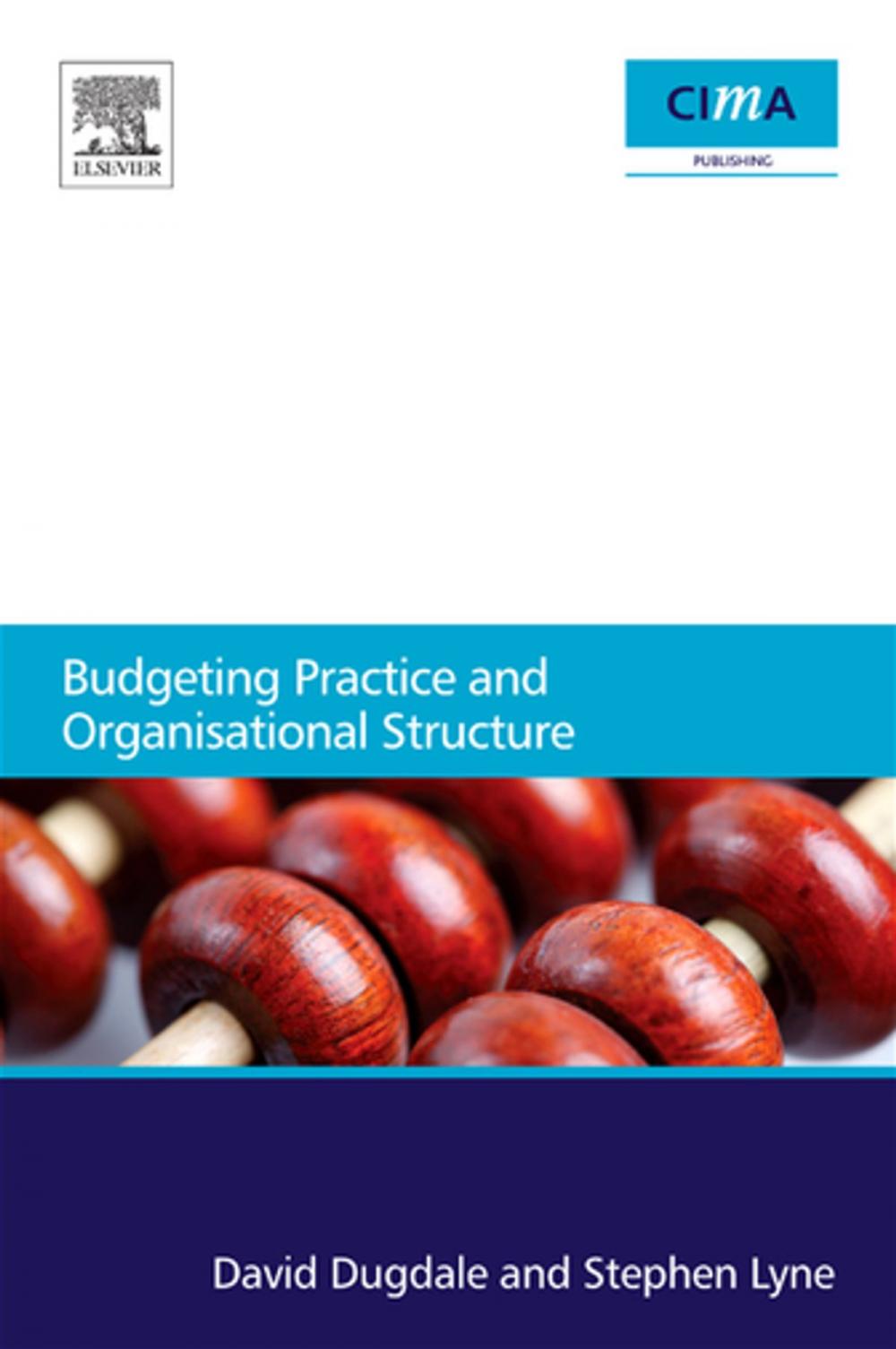 Big bigCover of Budgeting Practice and Organisational Structure