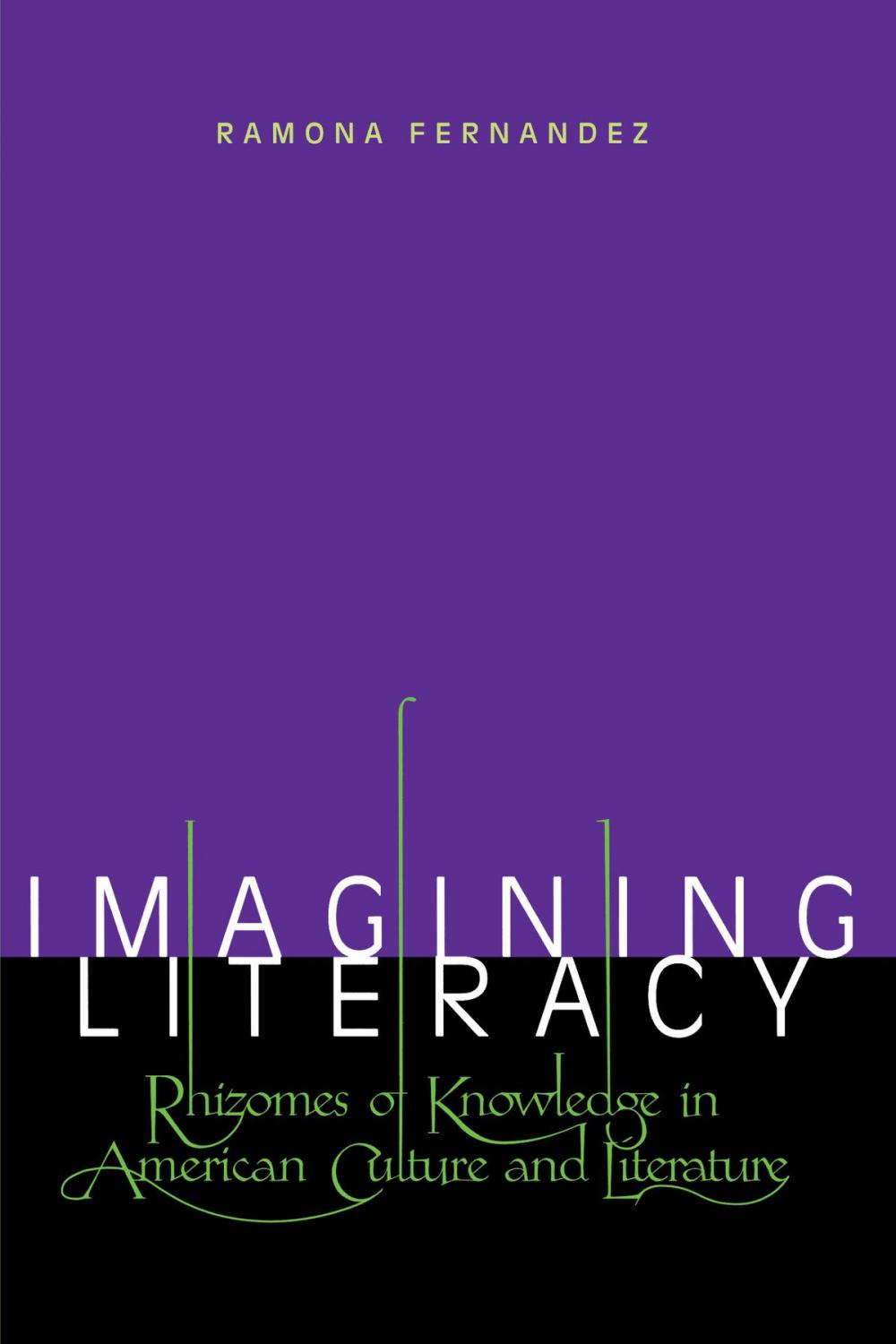 Big bigCover of Imagining Literacy